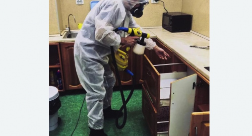Дезинсекция квартиры. Нагорный район