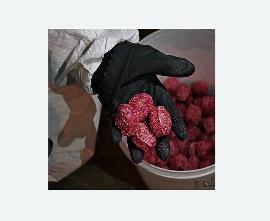 Обработка от крыс в Нагорном районе Москвы