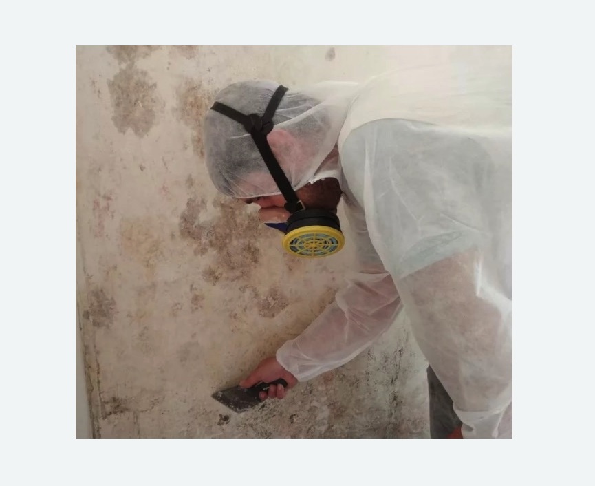 Обработка стен от плесени в Нагорном районе Москвы