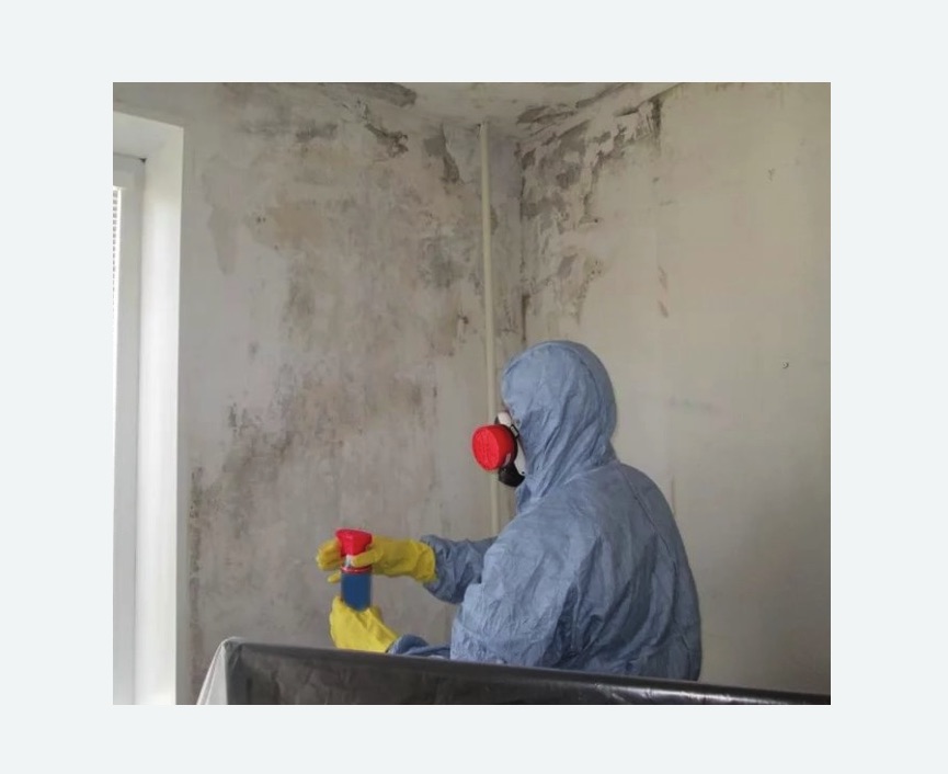 Удаление плесени в квартире в Нагорном районе Москвы
