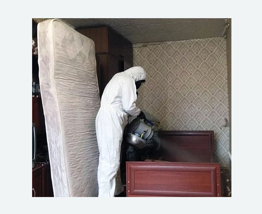 дезинфекция от клопов дезинфекция от клопов в Нагорном районе Москвы