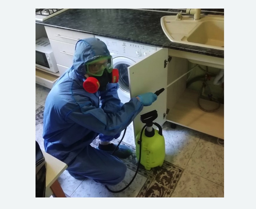 обработка от муравьев в квартире в Нагорном районе Москвы